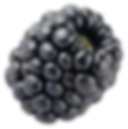 Berry