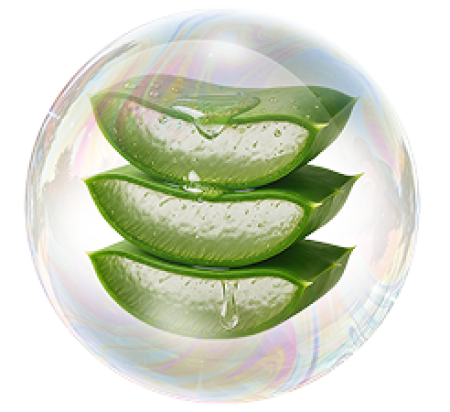 El extracto de Aloe barbadensis